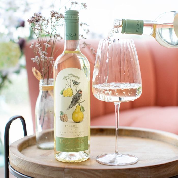2021 Dillions by Dillions Vineyard