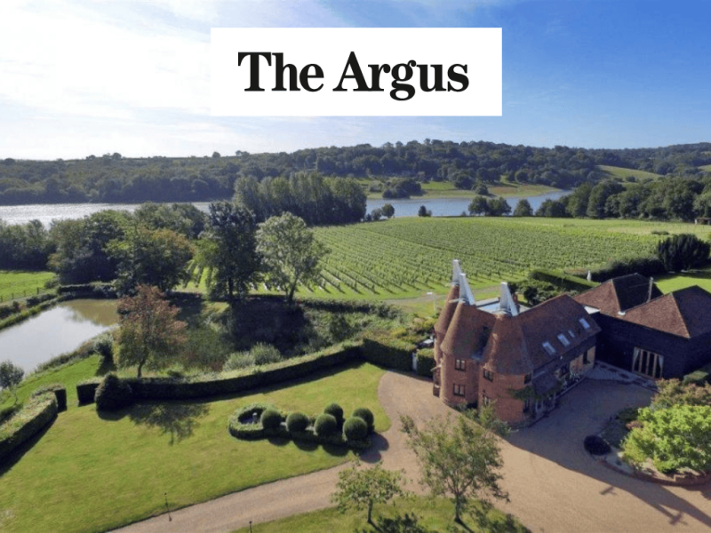 Photo for: Bewl Water Vineyard medals at London Wine Competition