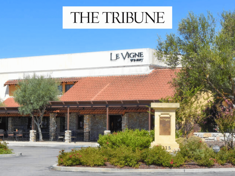 Photo for: Paso Robles winery earns top awards at London competition