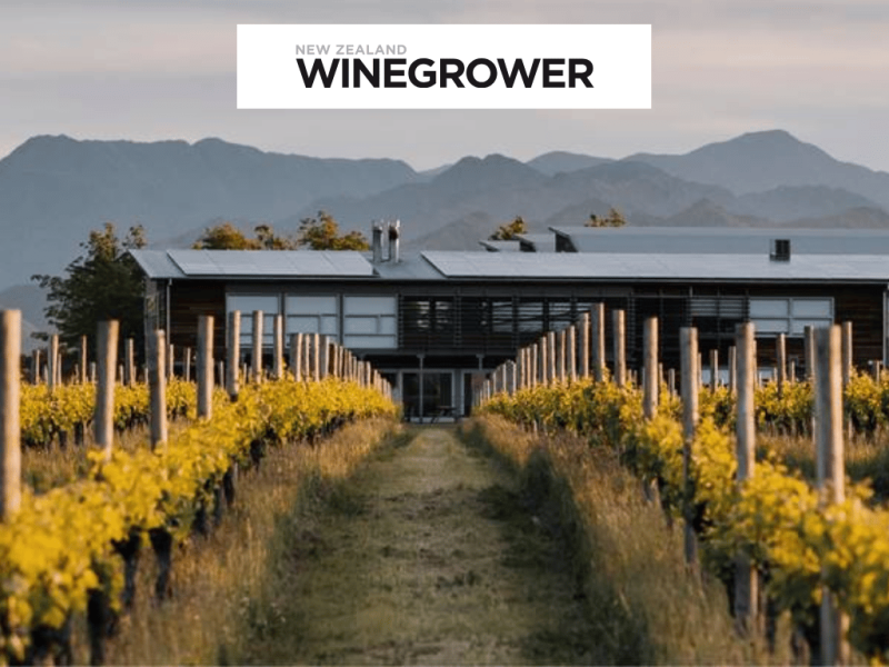 Photo for: Spy Valley Wines Wins Winery of the Year New Zealand at London Wine Competition
